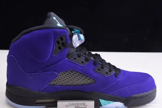 Kicktheory Jordan Grape Retro Alternate Air 136027-500 5 0531